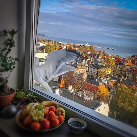 Przy Plazy Z Widokiem Na Morze 民宿