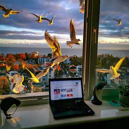 Przy Plazy Z Widokiem Na Morze Alloggio in famiglia *