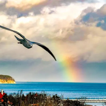 Przy Plazy Z Widokiem Na Morze 民宿