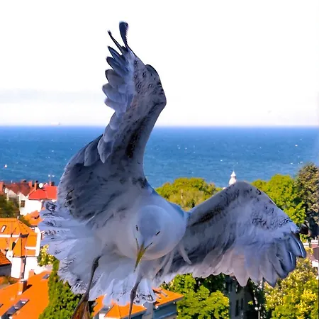 Alloggio in famiglia Przy Plazy Z Widokiem Na Morze Sopot