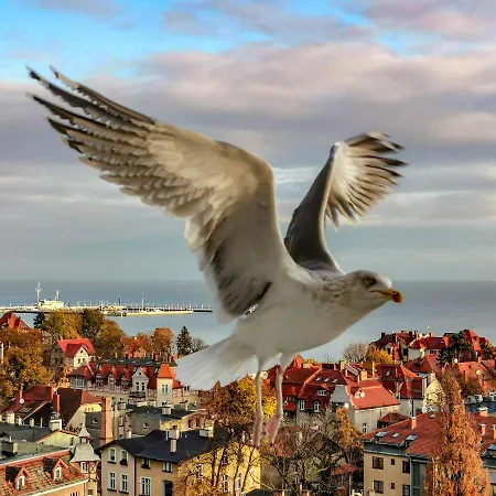 民宿 Przy Plazy Z Widokiem Na Morze *