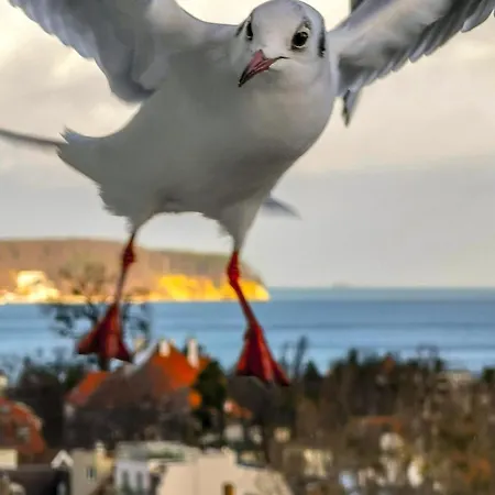 Przy Plazy Z Widokiem Na Morze Alloggio in famiglia Sopot
