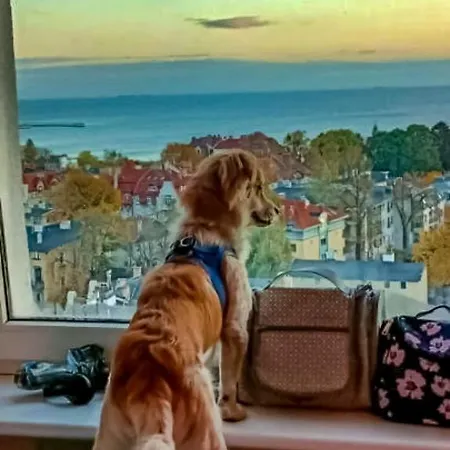 Alloggio in famiglia Przy Plazy Z Widokiem Na Morze *