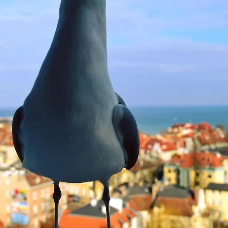 Alloggio in famiglia Przy Plazy Z Widokiem Na Morze