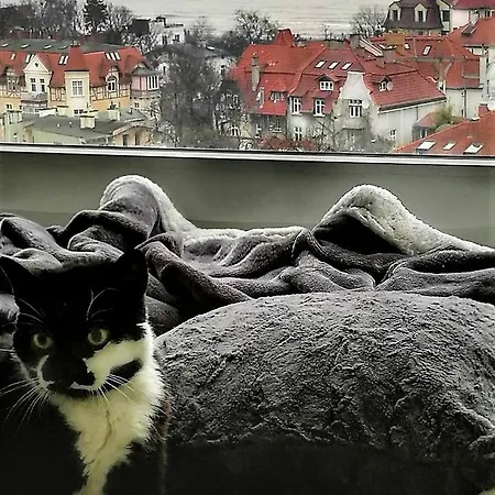 Przy Plazy Z Widokiem Na Morze Privatunterkunft *