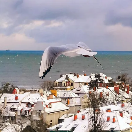 Przy Plazy Z Widokiem Na Morze Homestay *