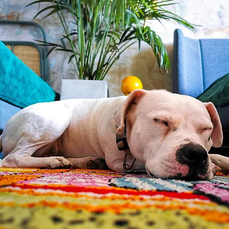 Przy Plazy Z Widokiem Na Morze