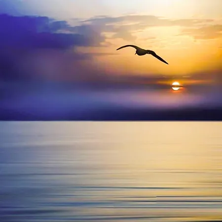 Alloggio in famiglia Przy Plazy Z Widokiem Na Morze *