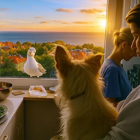 Przy Plazy Z Widokiem Na Morze