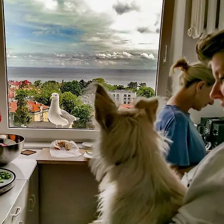 Przy Plazy Z Widokiem Na Morze Zoppot