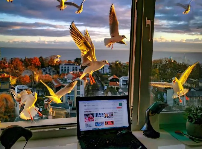 Przy Plaży Z Widokiem Na Morze Kwatera prywatna *