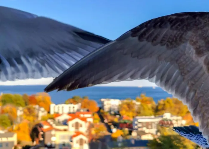 Przy Plazy Z Widokiem Na Morze * Sopot