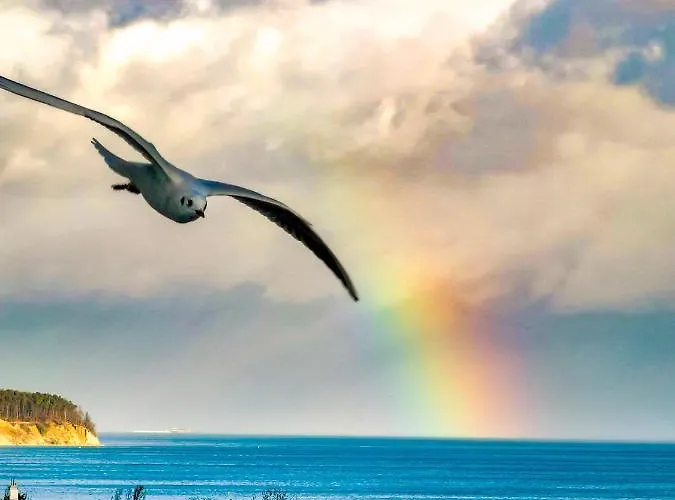 Przy Plazy Z Widokiem Na Morze Quarto em Acomodações Particulares