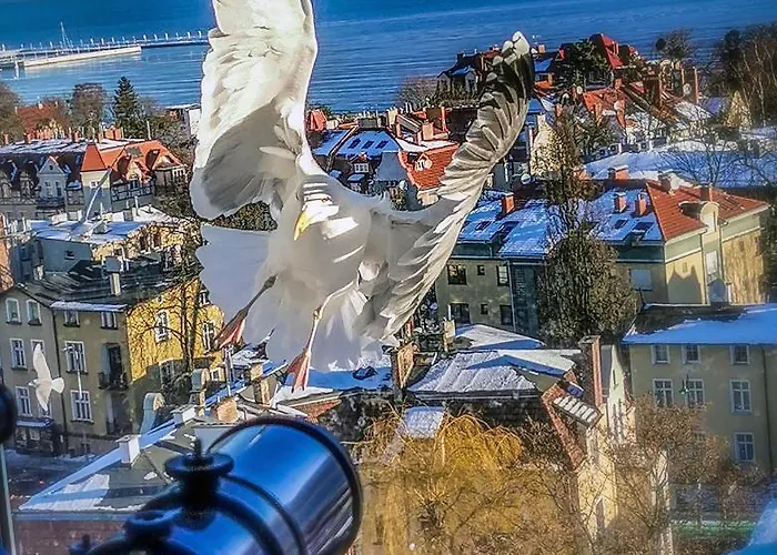 Quarto em Acomodações Particulares Przy Plazy Z Widokiem Na Morze Sopot