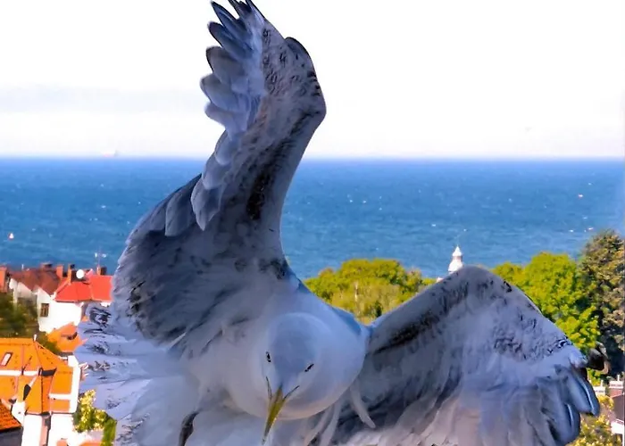 Kwatera prywatna Przy Plaży Z Widokiem Na Morze Sopot