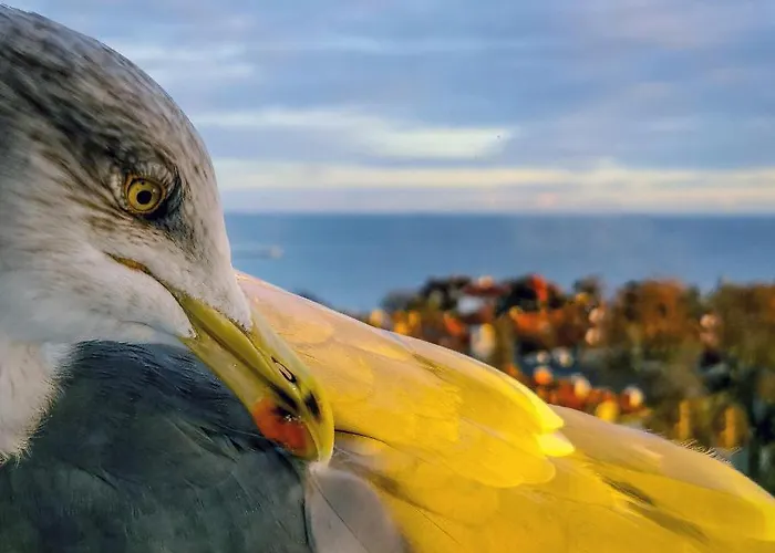 Przy Plazy Z Widokiem Na Morze *