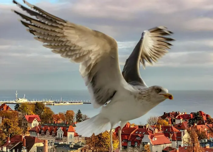 Kwatera prywatna Przy Plaży Z Widokiem Na Morze *