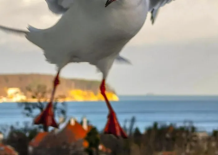Przy Plazy Z Widokiem Na Morze Quarto em Acomodações Particulares Sopot