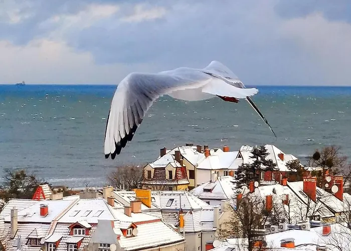 Quarto em Acomodações Particulares Przy Plazy Z Widokiem Na Morze *