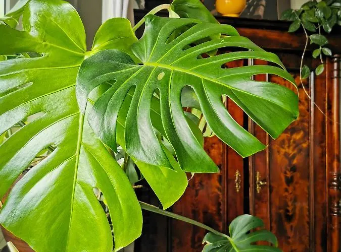 Проживание в семье Przy Plazy Z Widokiem Na Morze Сопот