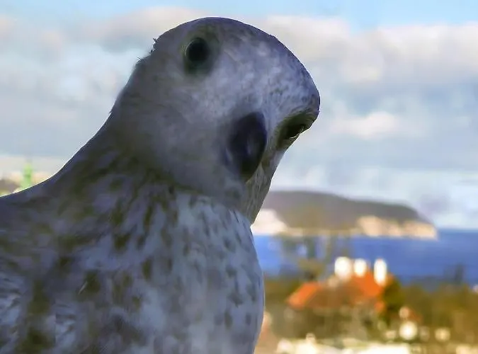 Przy Plazy Z Widokiem Na Morze *