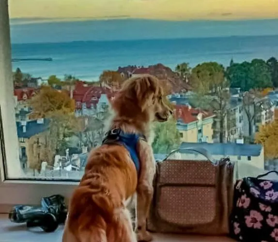 Quarto em Acomodações Particulares Przy Plazy Z Widokiem Na Morze *