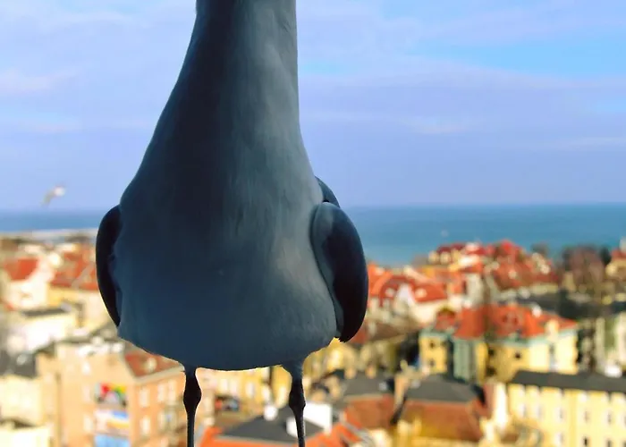 Quarto em Acomodações Particulares Przy Plazy Z Widokiem Na Morze