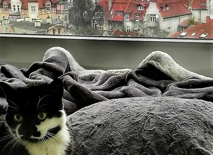 Przy Plazy Z Widokiem Na Morze Quarto em Acomodações Particulares *