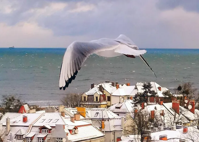 Przy Plazy Z Widokiem Na Morze Quarto em Acomodações Particulares *