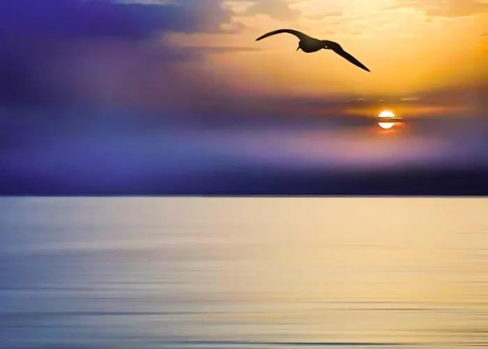 Quarto em Acomodações Particulares Przy Plazy Z Widokiem Na Morze *