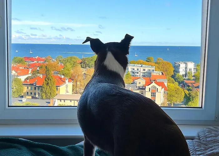 Przy Plazy Z Widokiem Na Morze