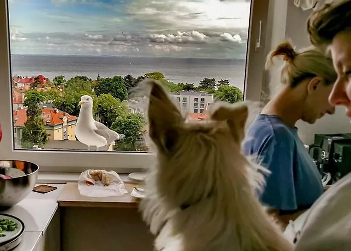 Przy Plazy Z Widokiem Na Morze Sopot