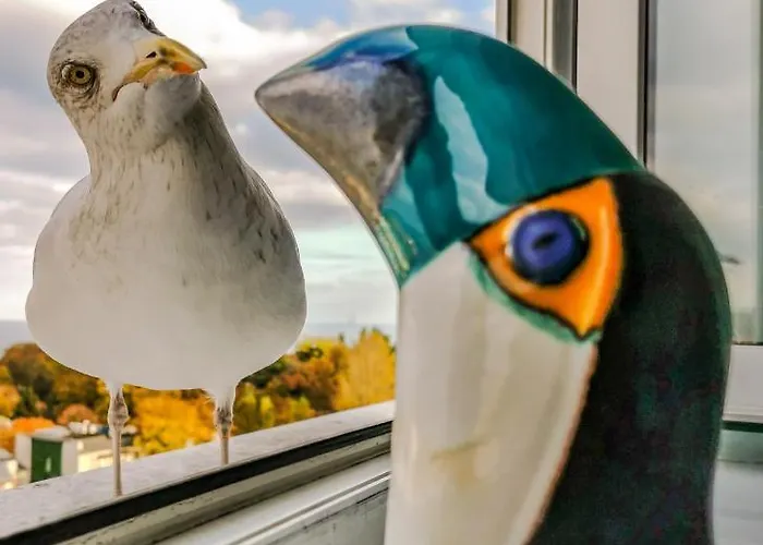 Przy Plazy Z Widokiem Na Morze Quarto em Acomodações Particulares *